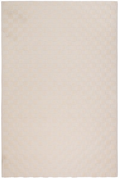 Plexis 42321 60