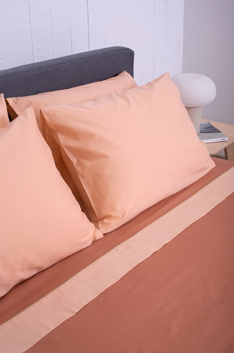 HOME Raw Terra - Powder